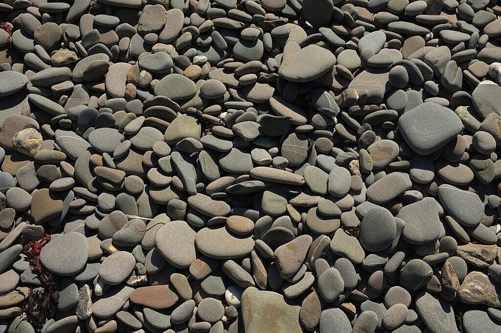 Beach Pebbles for decorative landscaping