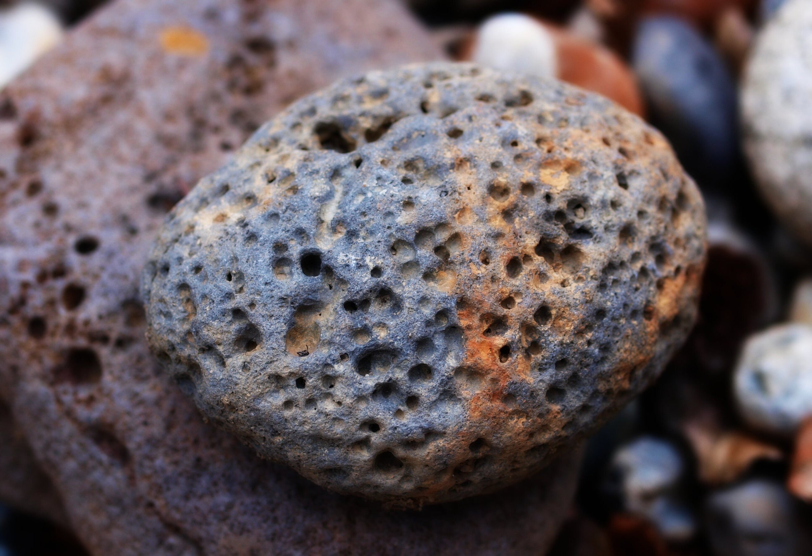 Lava rock for landscape