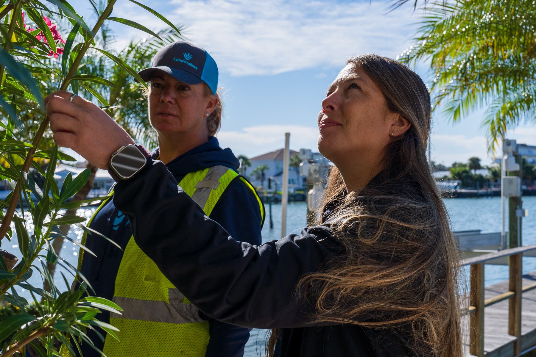 Account manager and cre looking at tree 1