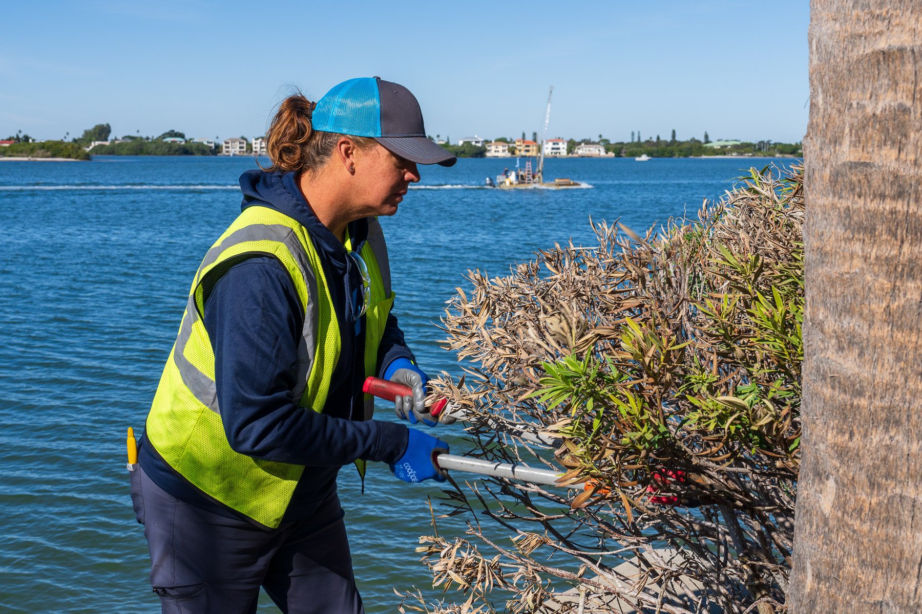 Crew member pruning bush next to water 1