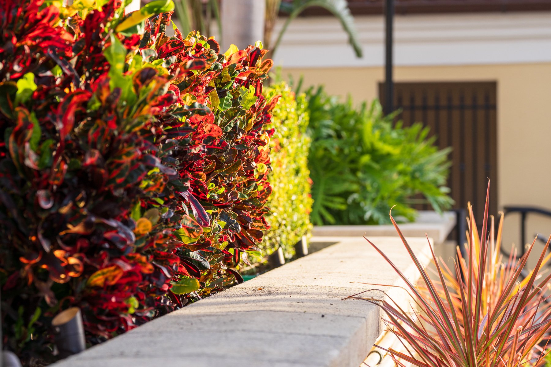 Cost-Effective Ways to Manage Your HOA’s Landscape