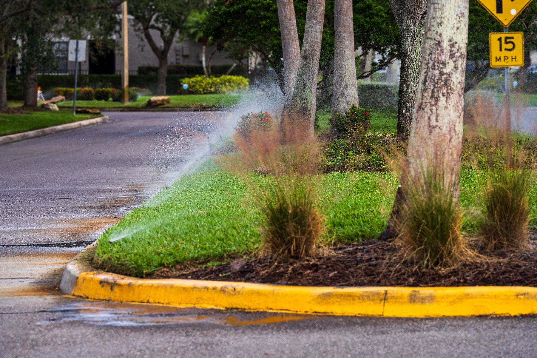 HOA community irrgiation system watering parkways