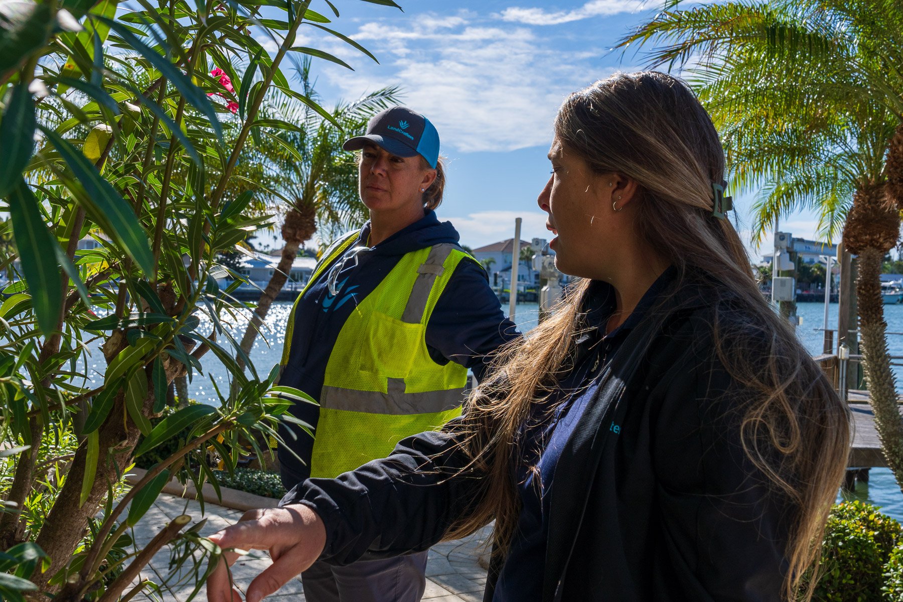 account manager and crew member looking at tree