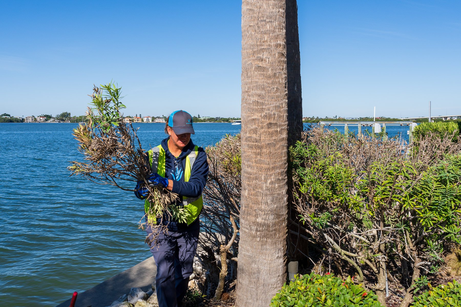 crew member removing dead branches 