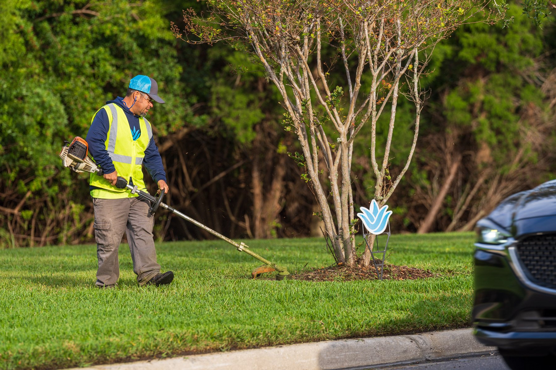 landscape crew edging lawn around tree