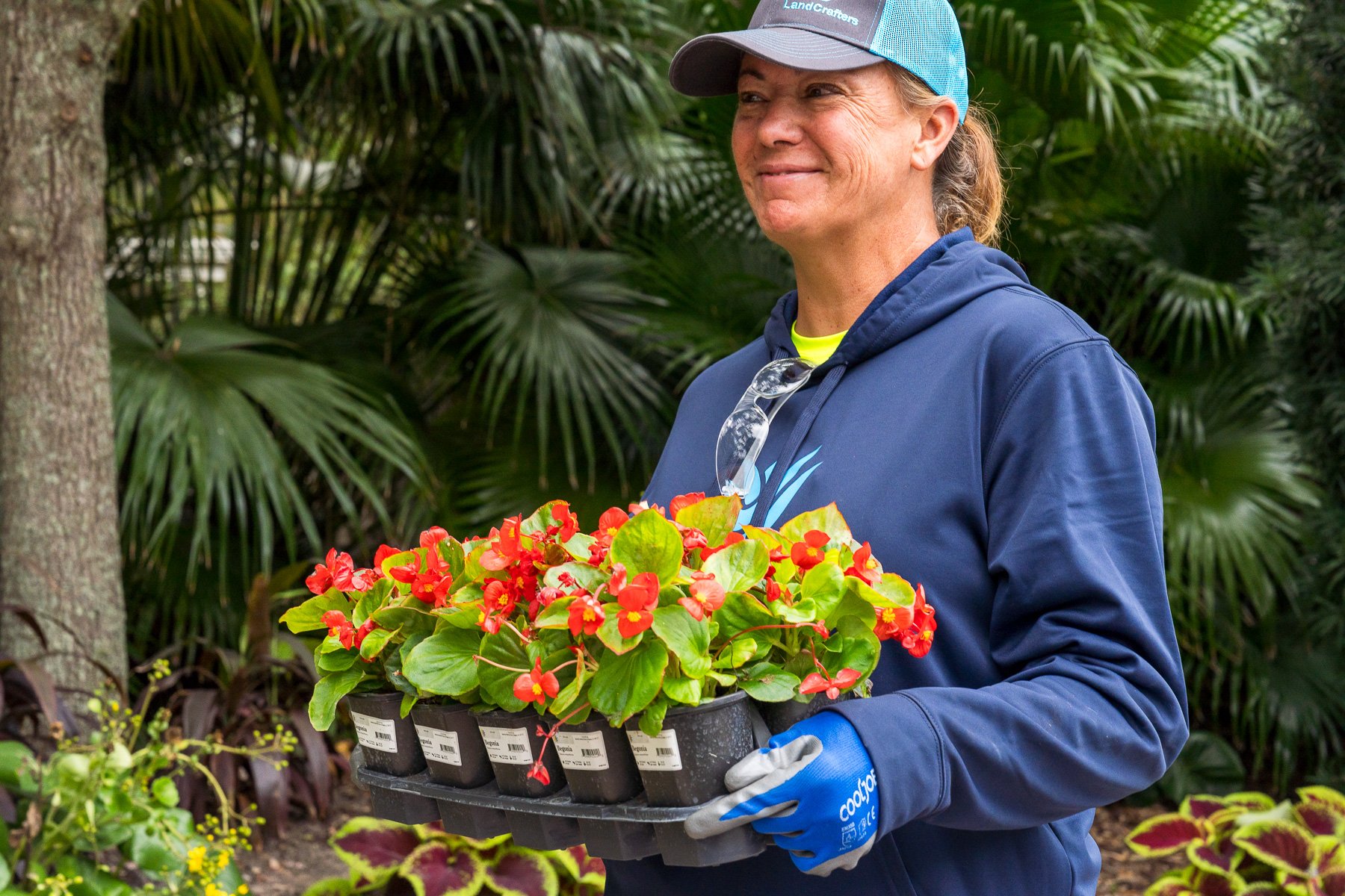 landscape crew planting new annuals