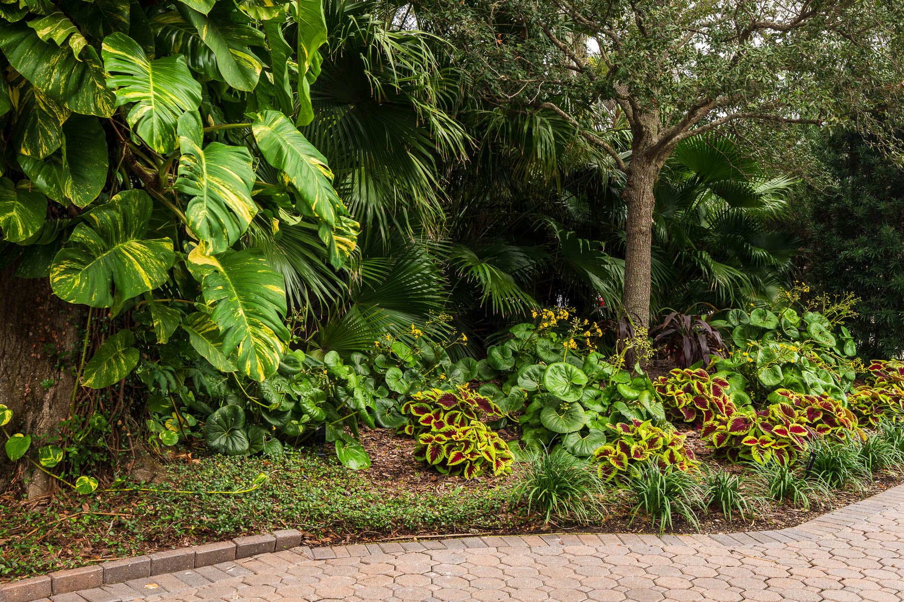 walkway and garden beds