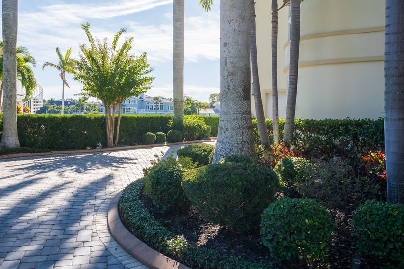 residential landscape planting bed near driveway