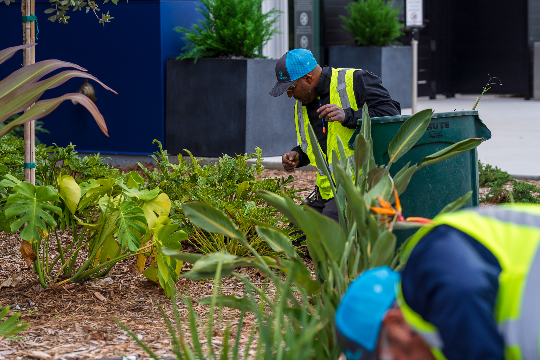 Commercial landscape crew cleaning up flower beds