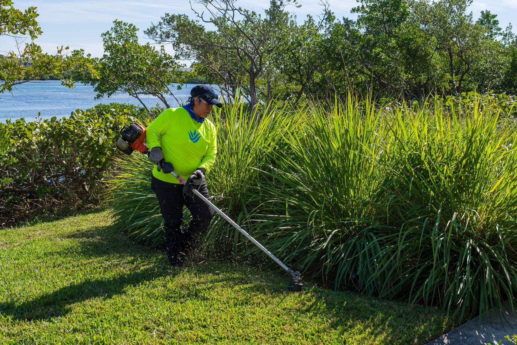 Landscape maintenance crew maintaining shrubs