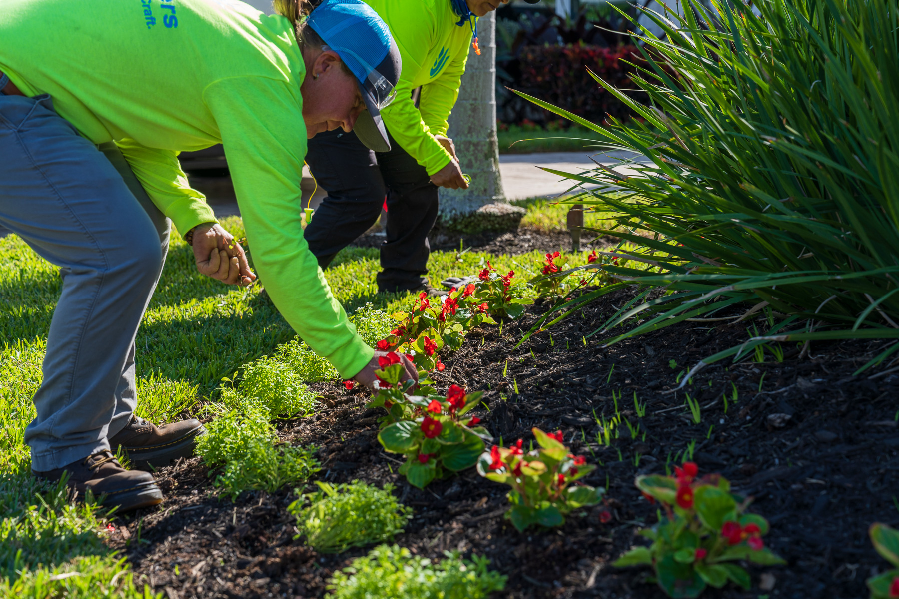 residential landscape maintenance crew dead heading flowers