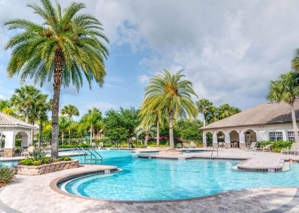 pool surrounded by palm trees